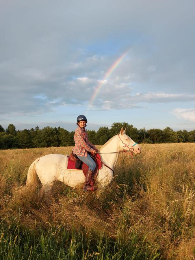 Caloroczne Jurty Mongolskie - "Domy Slonca" Kłodzko Exteriör bild